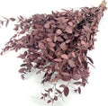 Preserved Dried Eucalyptus Greenery Stems, 20+ Pcs 16 inches Natural Long Lasting Eucalyptus Bundles for Vase Arrangements Home Decoration Photo Props Parties and Weddings, DIY Décor-Red