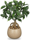Artificial Bonsai Tree Fake Small Ficus Plant with Ceramic Pot Indoor Plant