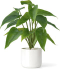 Mkono Fake Plants in Ceramic Pot, 11" Potted Artificial Plants Home Decor