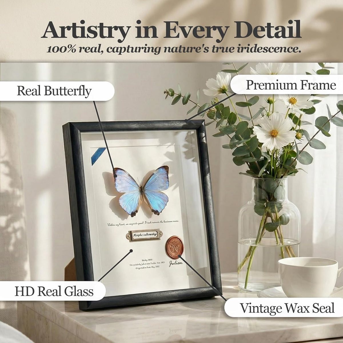 ArsVenciik Real Pearl Morpho Butterfly Taxidermy