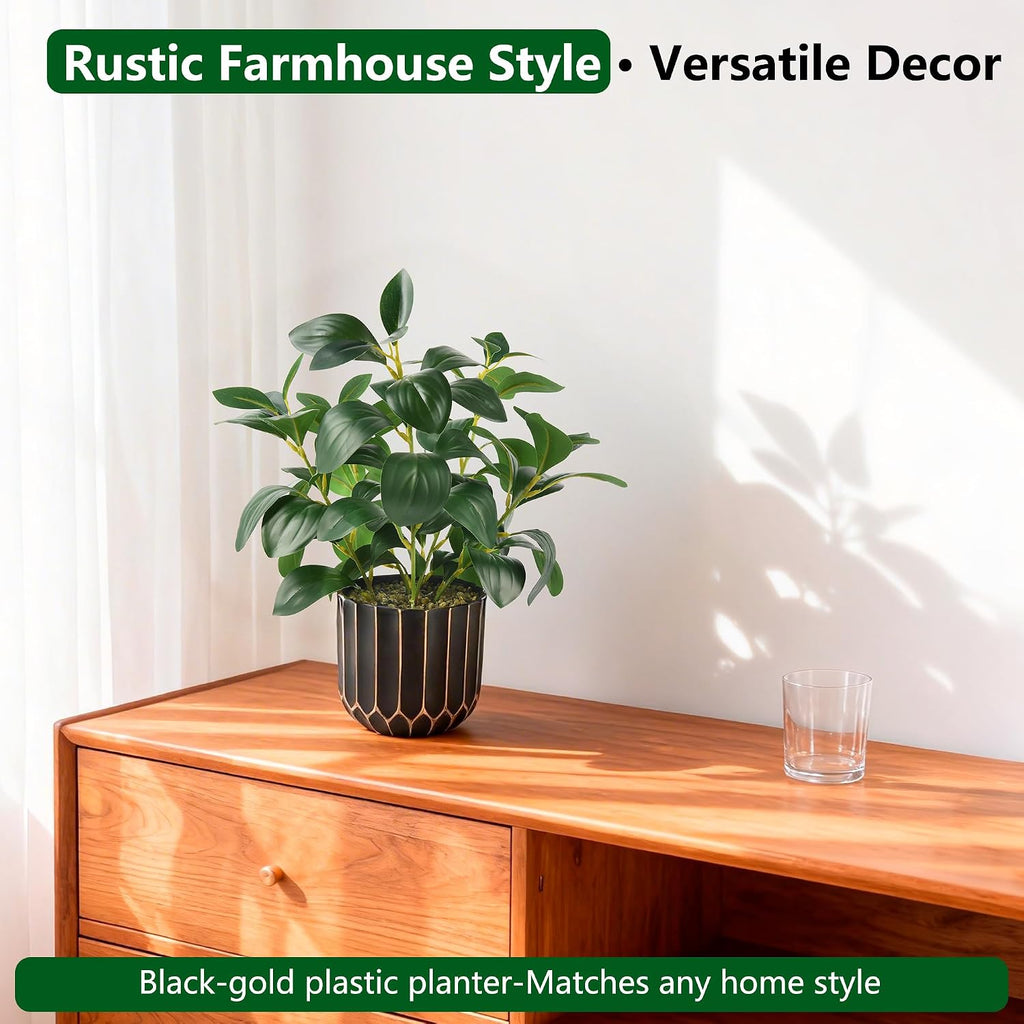 florisso Fake Plants Artificial Plants Indoor, Faux Potted Plants Indoor Artificial Succulents with Fig Leaf Look Real Greenery with Planter for Office Desk Coffee Table Home Decor(Black Gold)