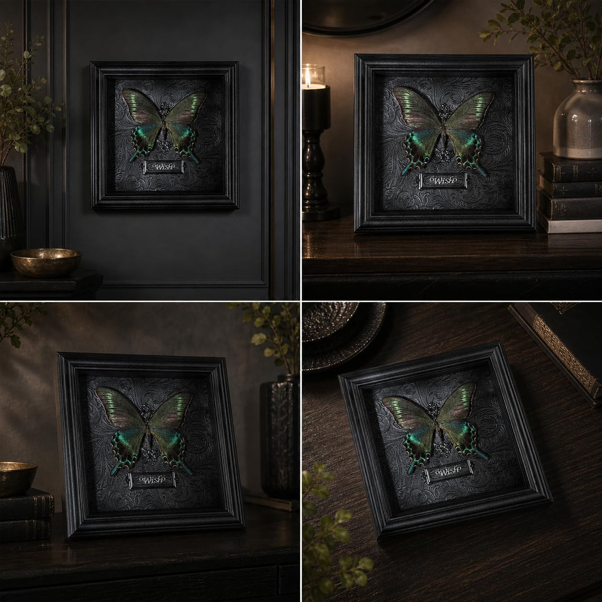 Real Handmade Taxidermy Butterfly Framed Gothic Baroque Art Home Decor