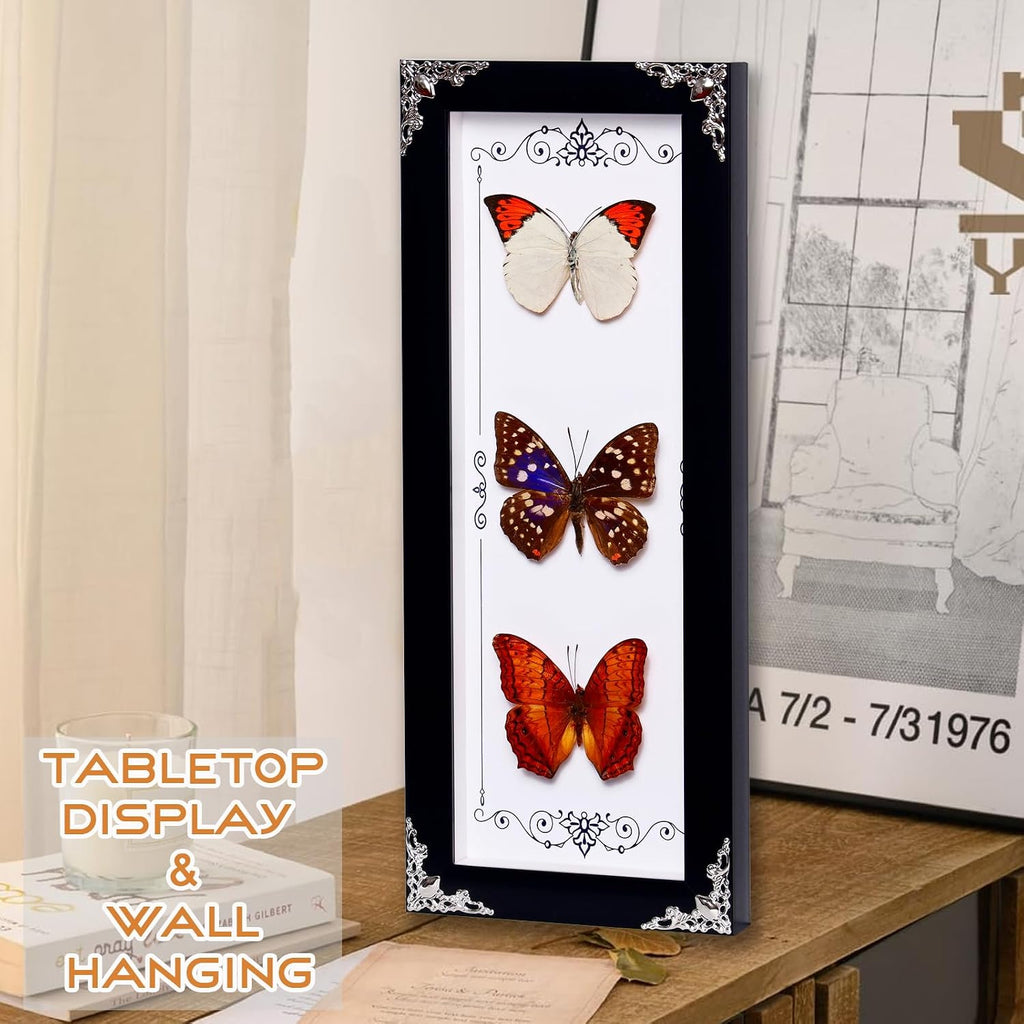 Framed 3 Real Butterfly Gothic Decor, 15.2"X6.5" Taxidermy Butterfly Shadow Box Wall Decor, Framed Butterfly Taxidermy for Witchy Home Decor (Pieridae+Sasakia charonde+Vidula Sapor)