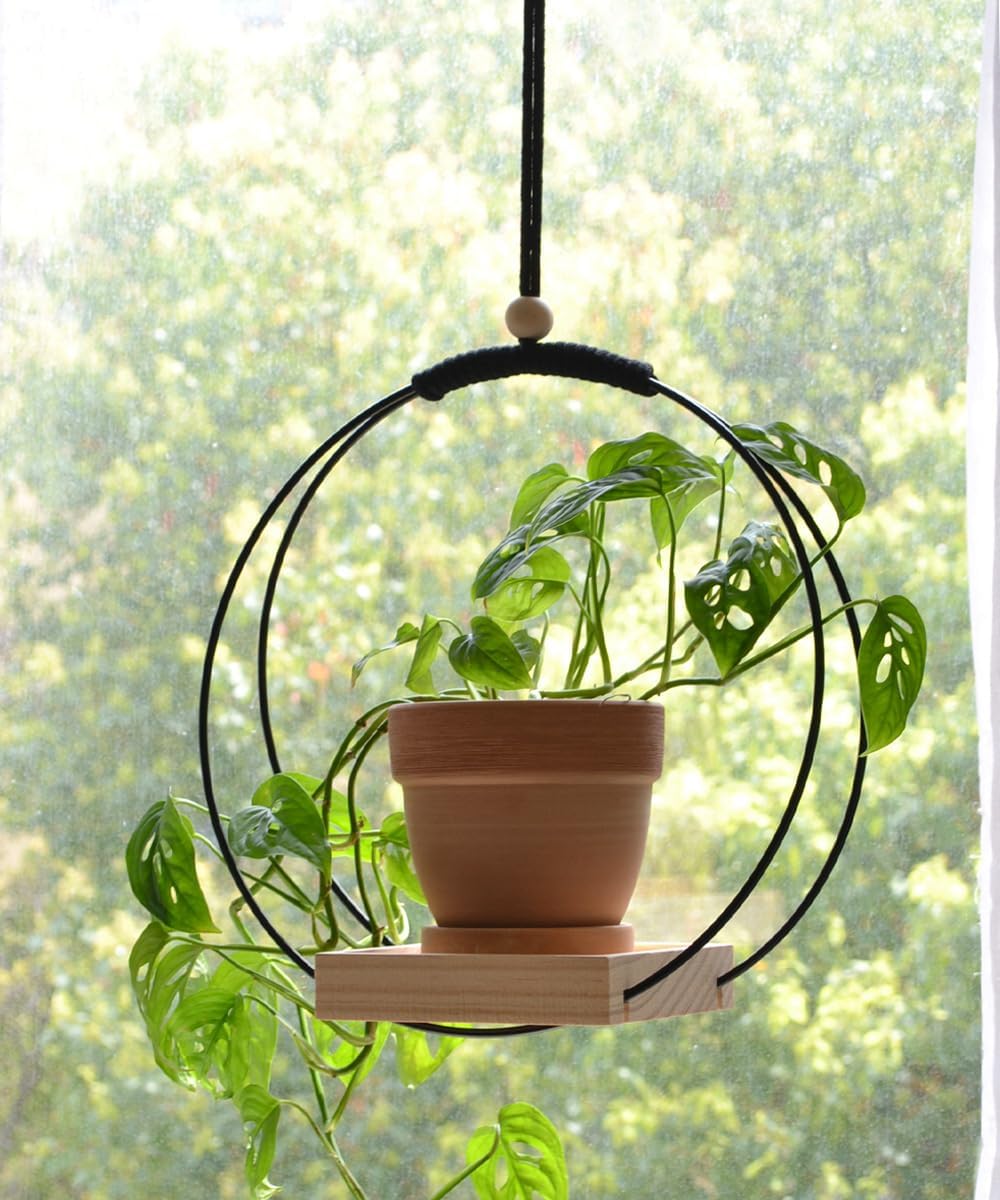 Plant Hanger with Wood Base - Boho Macrame Hanging Plant Holder for Indoor Plants Hanging Planter for Wall /Window/Room Decor Black (Pot & Plant Not Included)
