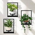 Floating Shelves Plant Stand Indoor Set of 3, Wall Planters to Hold Large Pots - Premium Metal Hanging Plant Holder for Indoor Outdoor Decor