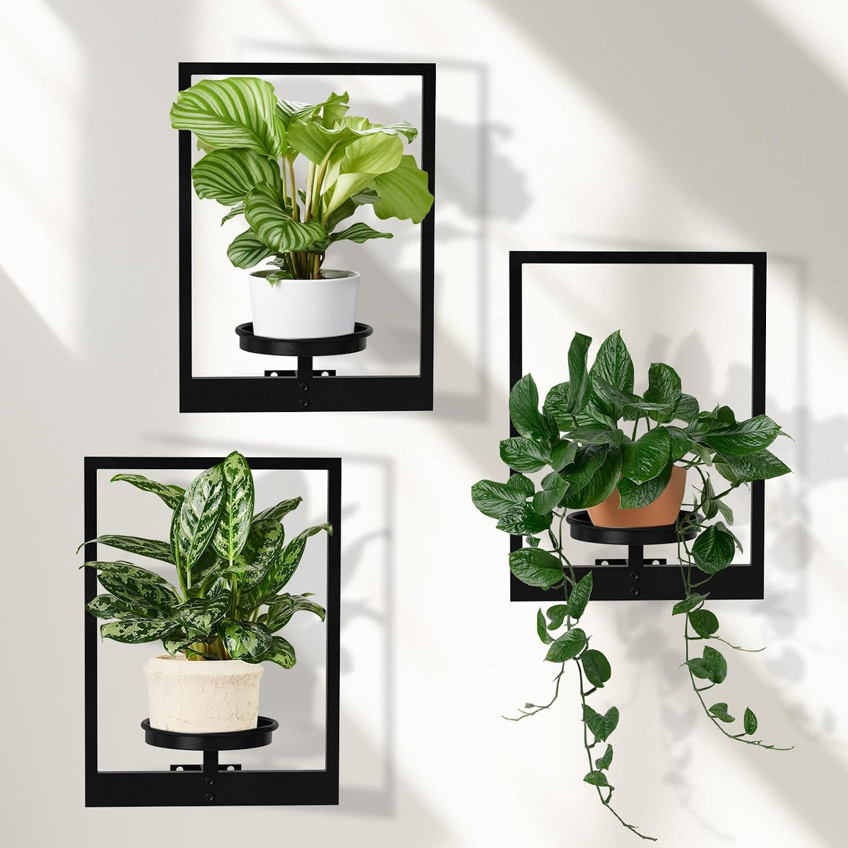 Floating Shelves Plant Stand Indoor Set of 3, Wall Planters to Hold Large Pots - Premium Metal Hanging Plant Holder for Indoor Outdoor Decor