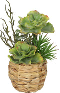 10" Large Succulents Plants Artificial in Pot, Faux Succulents Arrangement