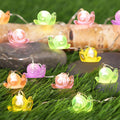 Impress Life Snail String Lights, USB & Battery Operated Fairy Lights