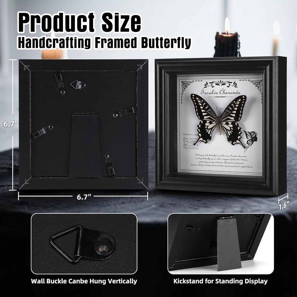 Real Butterfly in Frame - Stunning Taxidermy Butterfly Display - Premium Butterfly Shadow Box with Authentic Specimen (G-Citrus Swallowtail Butterfly)