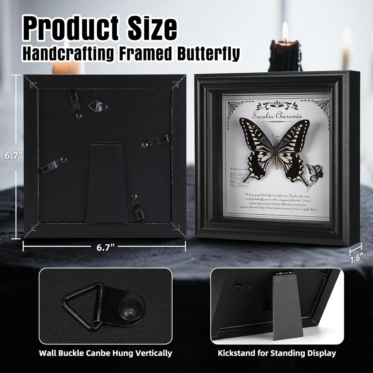 Real Butterfly in Frame - Stunning Taxidermy Butterfly Display - Premium Butterfly Shadow Box with Authentic Specimen (G-Citrus Swallowtail Butterfly)