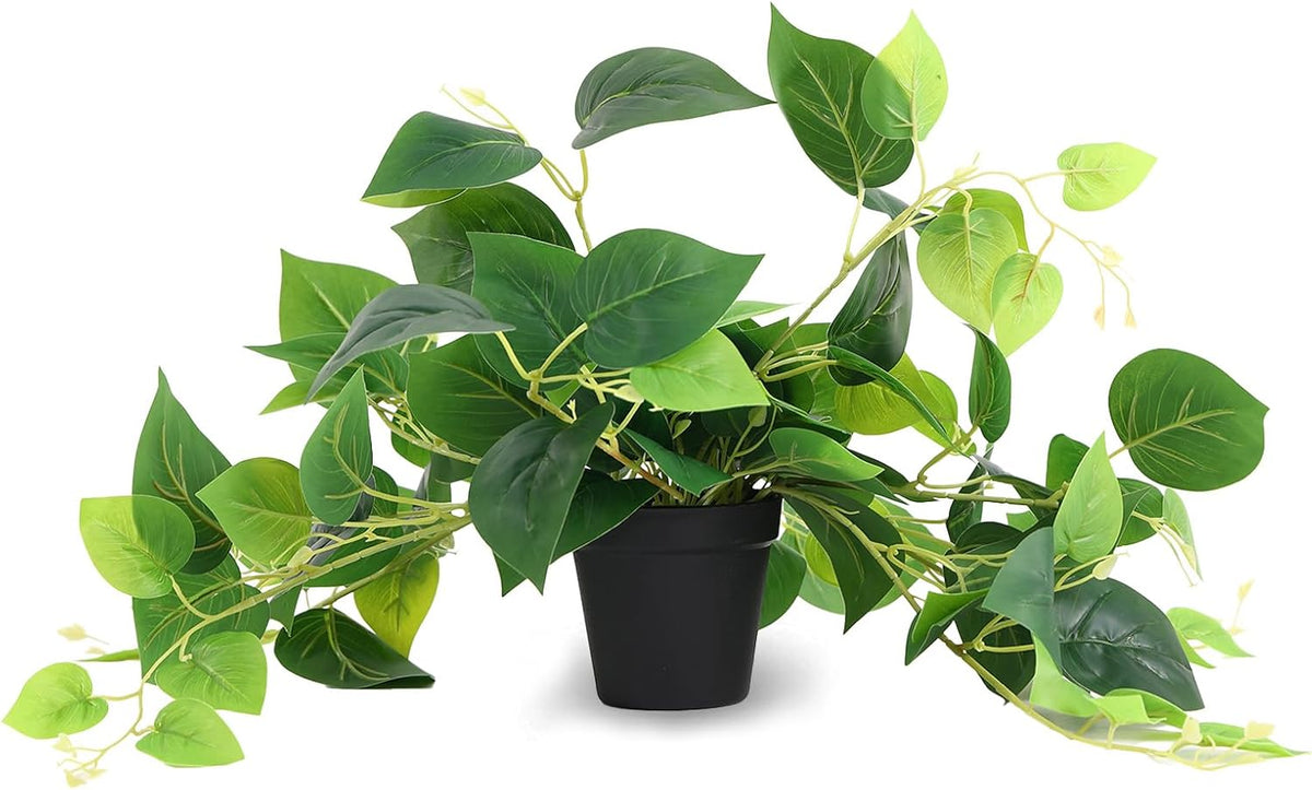 Tiita Artificial Pothos Plant in Pot, 1 Pack for Desk and Shelf Decor