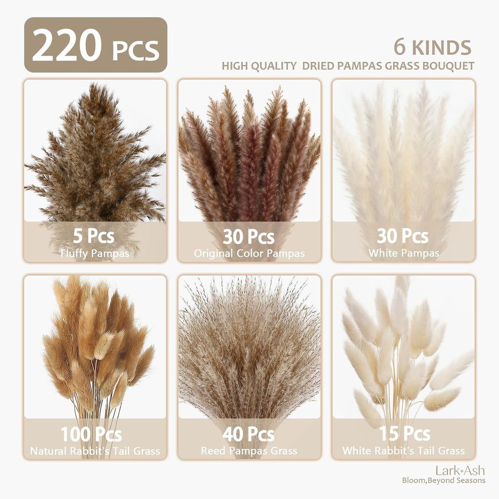 220 Stems Dried Pampas Grass Decor-White Pampas Grass,Brown Pampas,Bunny Tails Grass,Fluffy Pompas.Rustic Flower Bouquets for Wedding, Home Decor,Table Centerpiece,Apartment and Boho Decor