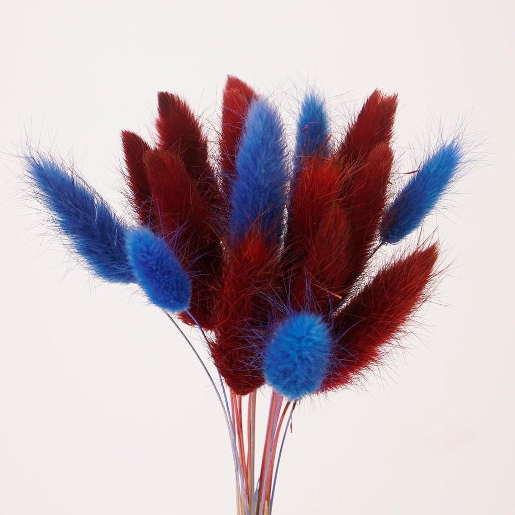 100 Pcs Dark Blue and Red Bunny Tails Dried Flowers