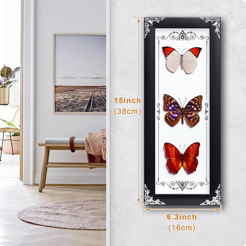 Framed 3 Real Butterfly Gothic Decor, 15.2"X6.5" Taxidermy Butterfly Shadow Box Wall Decor, Framed Butterfly Taxidermy for Witchy Home Decor (Pieridae+Sasakia charonde+Vidula Sapor)