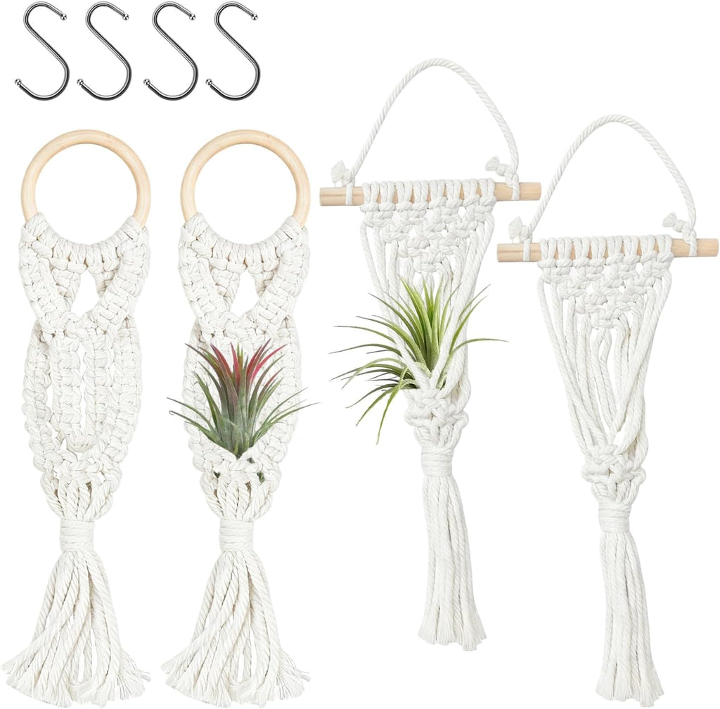 Belit 4 Pack Air Plants Holders with 4 Hooks, NO Plant Included