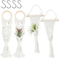 Belit 4 Pack Air Plants Holders with 4 Hooks, NO Plant Included