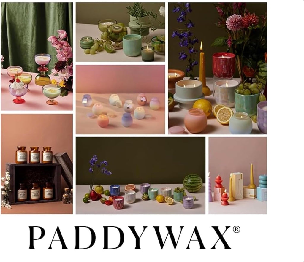 Paddywax Petite Reed Diffuser Set, Lavender, Lilac, 1.5 oz
