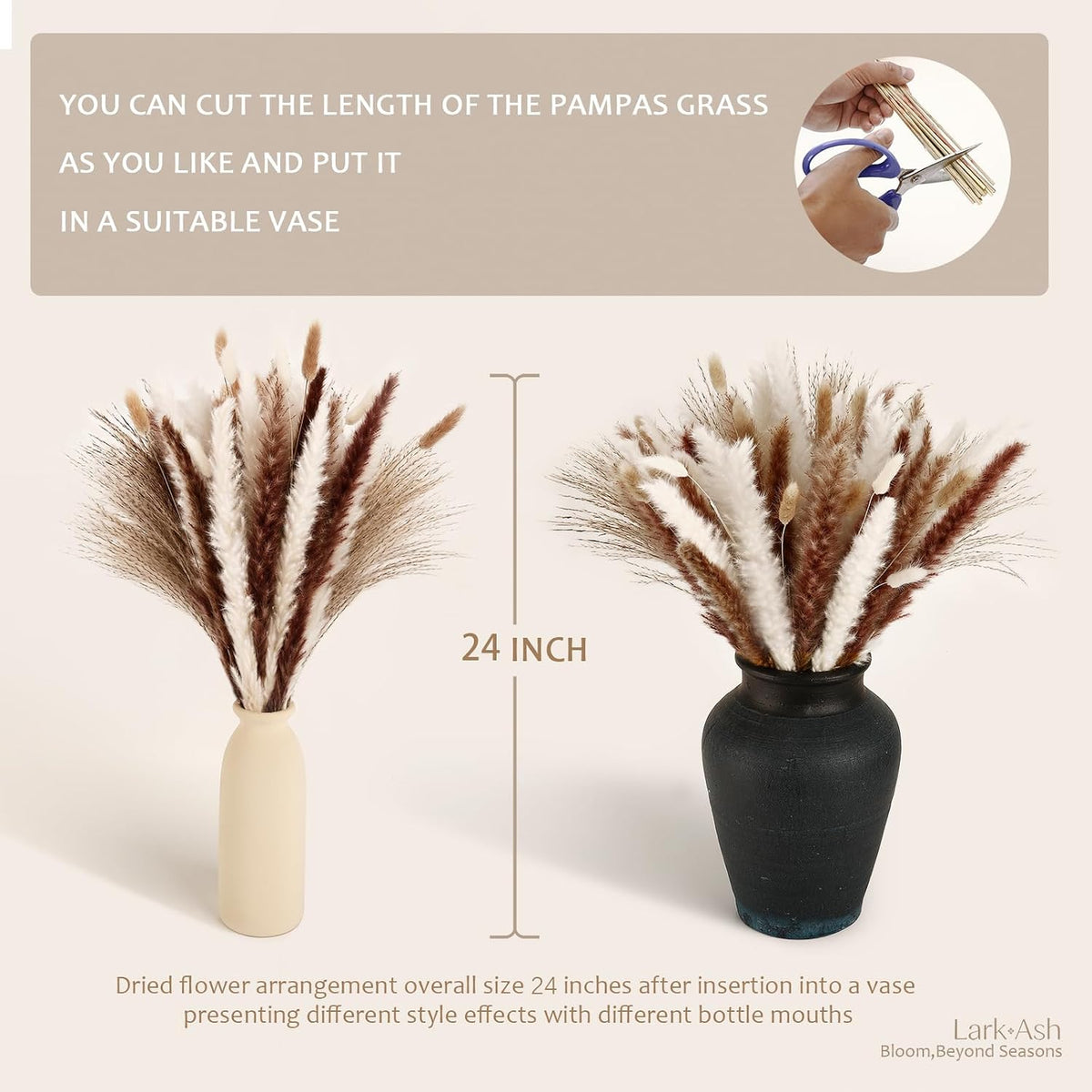 Dried Pampas Grass (125)
