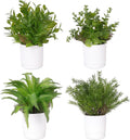 Abzo 4 Pack Fake Plants Mini Artificial Plants Faux Greenery for Home Decor Indoor Office Table Room Farmhouse Bathroom Decor