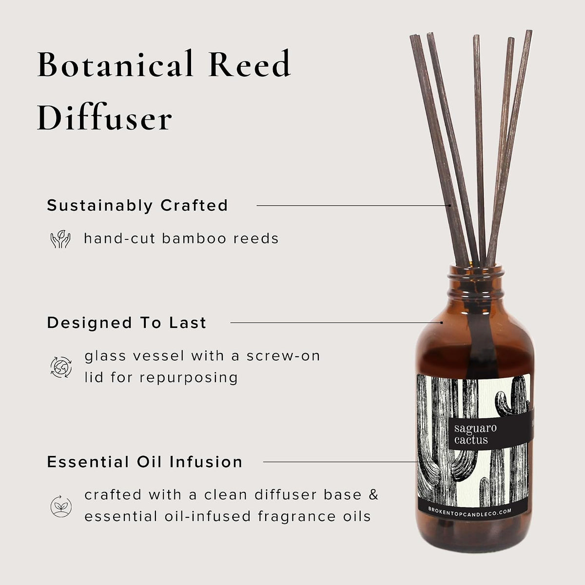BROKEN TOP Natural Reed Diffuser Set (Saguaro Cactus)