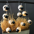Cute Painted Sheep Night Light LED Sheep Ornaments String Lights Black Sheep Fairy Light Battery Powered Indoor Outdoor Party Decor Night Light (10LED, Black Sheep)