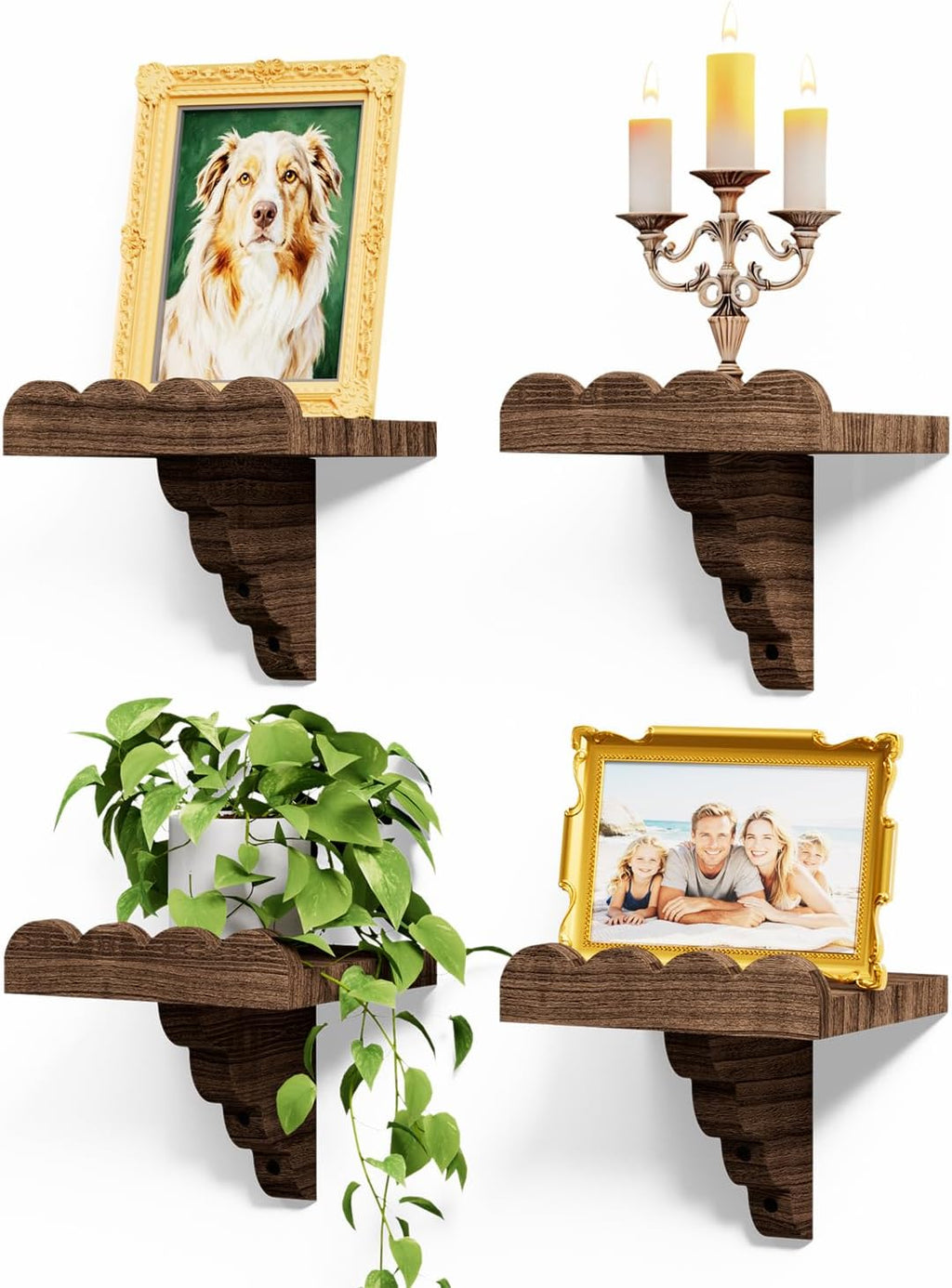 QsQueen Small Scalloped Floating Shelves for Wall, 4 Pack Small Wall Shelf, Solid Paulownia Wood Display Shelves with Matching Brackets for Plants, Bathroom, Bedroom, Living Room & Home Decor