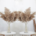 30 Stems 28” inch Fluffy Brown Pampas Grass Decor Tall - Natural Dried Pampas Grass, Large Pompas Grass, Dry Pampas Bulk for Living Room Decor, Boho Home Decor , Wedding Decor , Gift( 30 Brown )