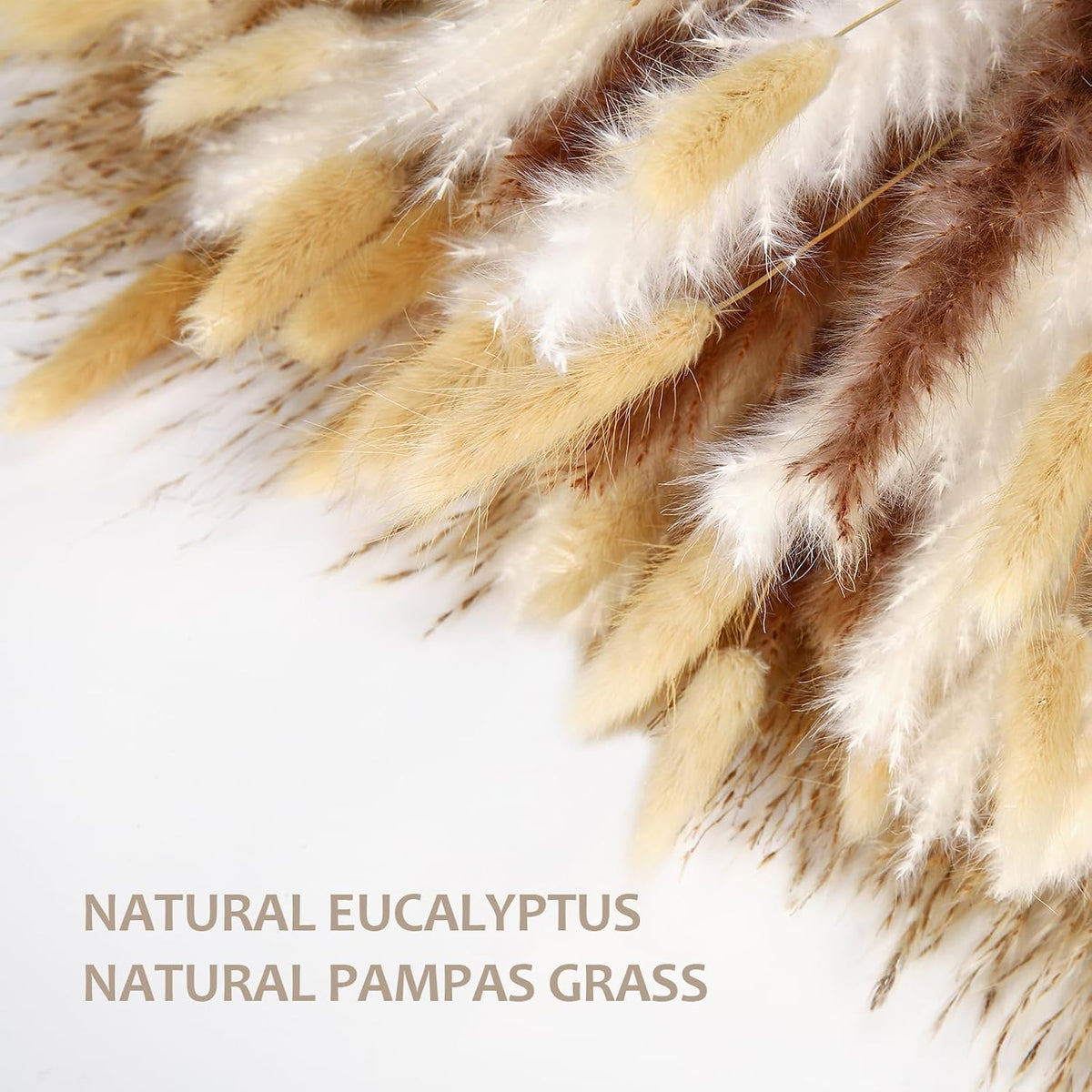 220 Stems Dried Pampas Grass Decor-White Pampas Grass,Brown Pampas,Bunny Tails Grass,Fluffy Pompas.Rustic Flower Bouquets for Wedding, Home Decor,Table Centerpiece,Apartment and Boho Decor