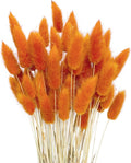 120pcs Orange Bunny Tail Pampas Grass Dried Flowers for Vase Boho Flowers Dried Babys Breath Wedding Decor Dry Flowers for Vase (Orange 120 PCS)