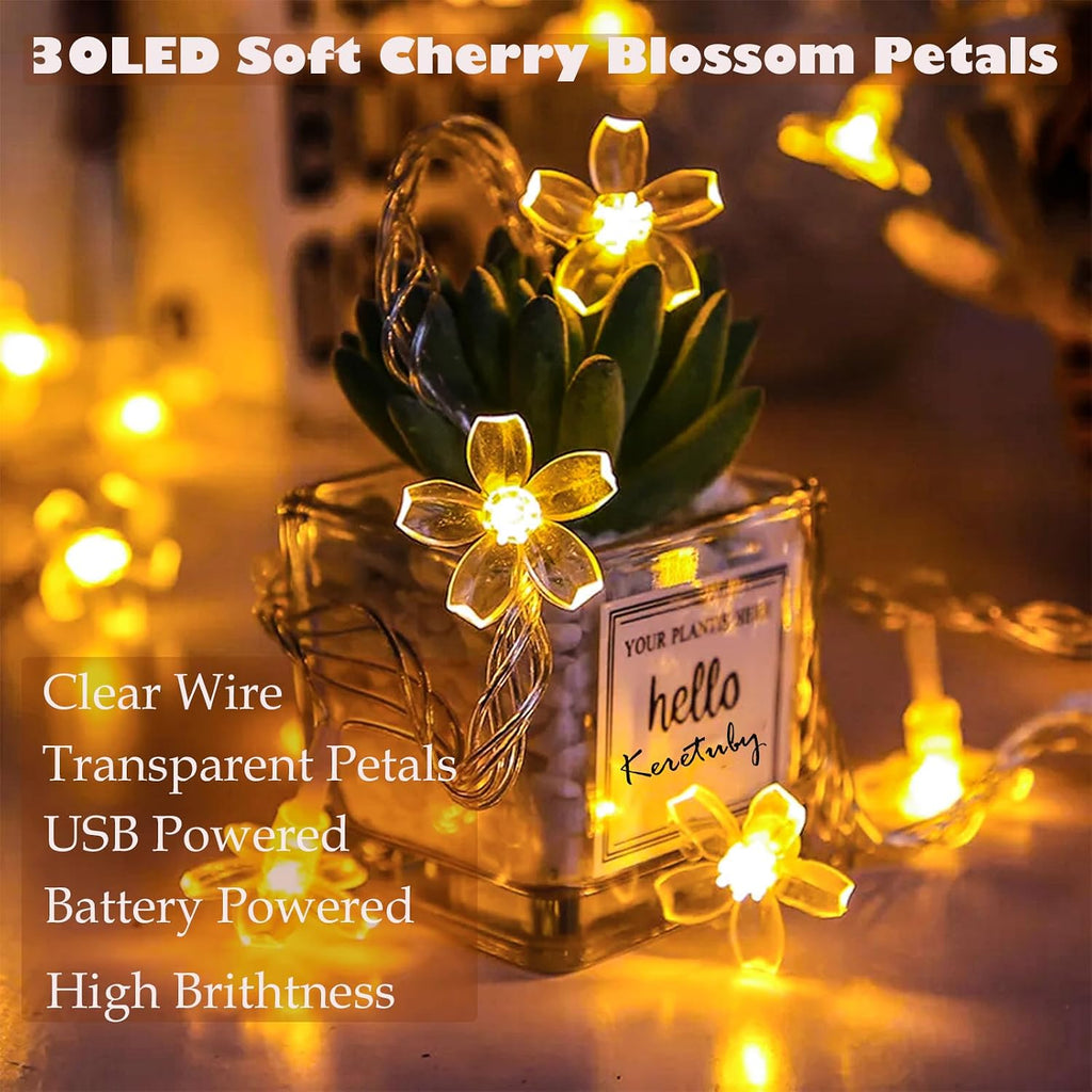 10ft 30 LED Fairy Flower String Lights Battery & USB Operated (Warm White)