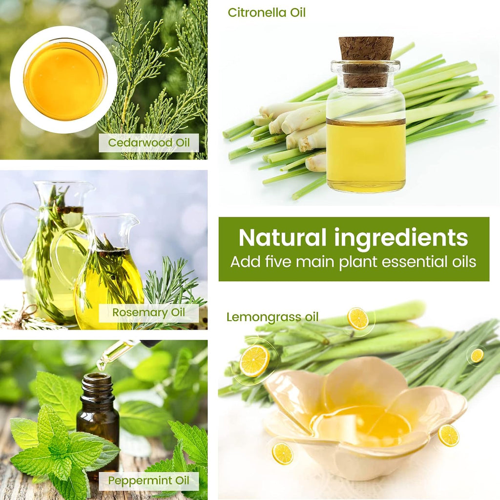 Citronella Incense Cones with Ceramic Dishes | Made with Plant-Based Ingredients | Citronella | Lemongrass Oil | Rosemary Oil | Suitable for Indoor and Outdoor Use (65 Cones)