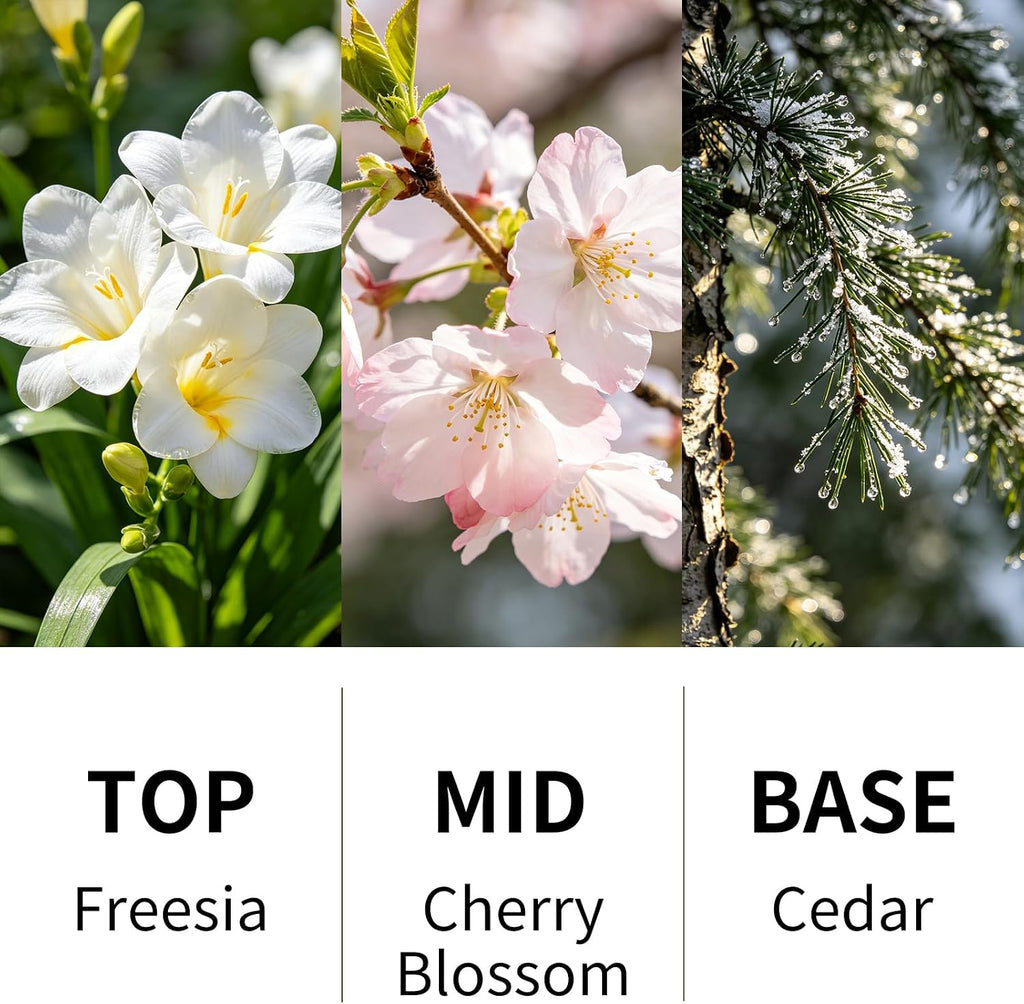 Reed Diffuser Set Volcano Design Cherry Blossom Scent, 3.28 fl.oz Diffuser with Sticks for 60 Days, Home Fragrance Reed Diffuser for Bathroom Shelf Decor & Room Freshener
