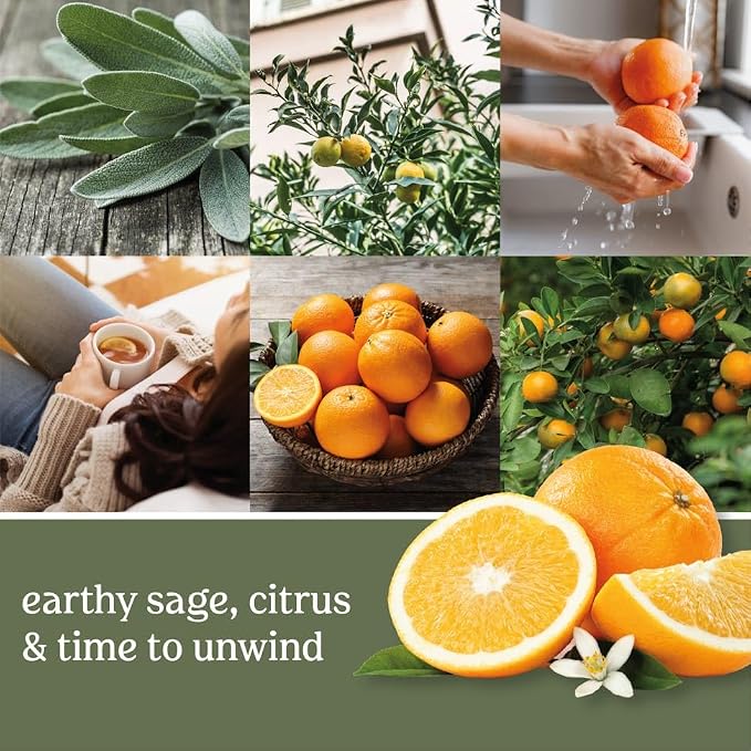 Yankee Candle Scented Wax Melts for Wax Warmers, Long Lasting Home Fragrance, Odor Eliminating Wax Cubes, Sage & Citrus, 6 Count (Pack of 2)