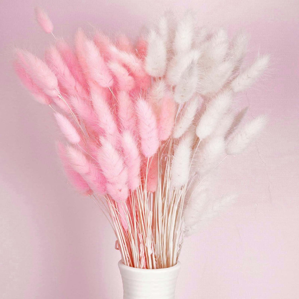 120pcs Bunny Tail Pampas Grass Dried Flowers for Vase Boho Flowers Dried Babys Breath Wedding Decor Dry Flowers for Vase (White 60PCS+Pink 60PCS)