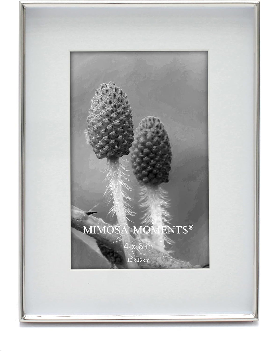 6x8 Silver Shadow Box Metal Picture Frame with 4x6 Photo Mat