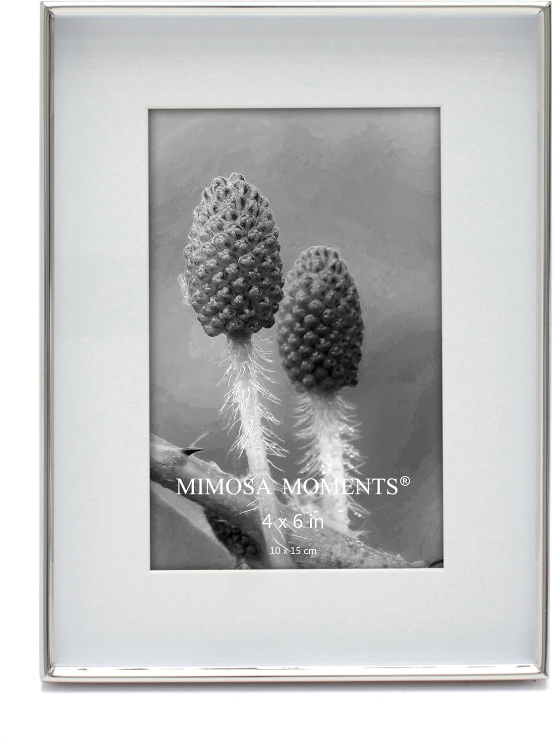 6x8 Silver Shadow Box Metal Picture Frame with 4x6 Photo Mat