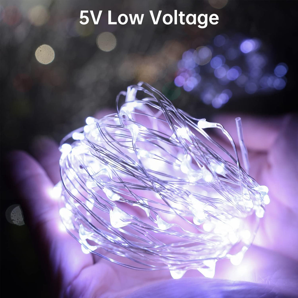 Blingstar USB Powered Fairy Lights, 2 Pack 33Ft 100 LED, Flexible Silver Wire, Mini String Lights for Christmas Tree/Bedroom/Camping/Dorm Indoor Decoration, Cool White