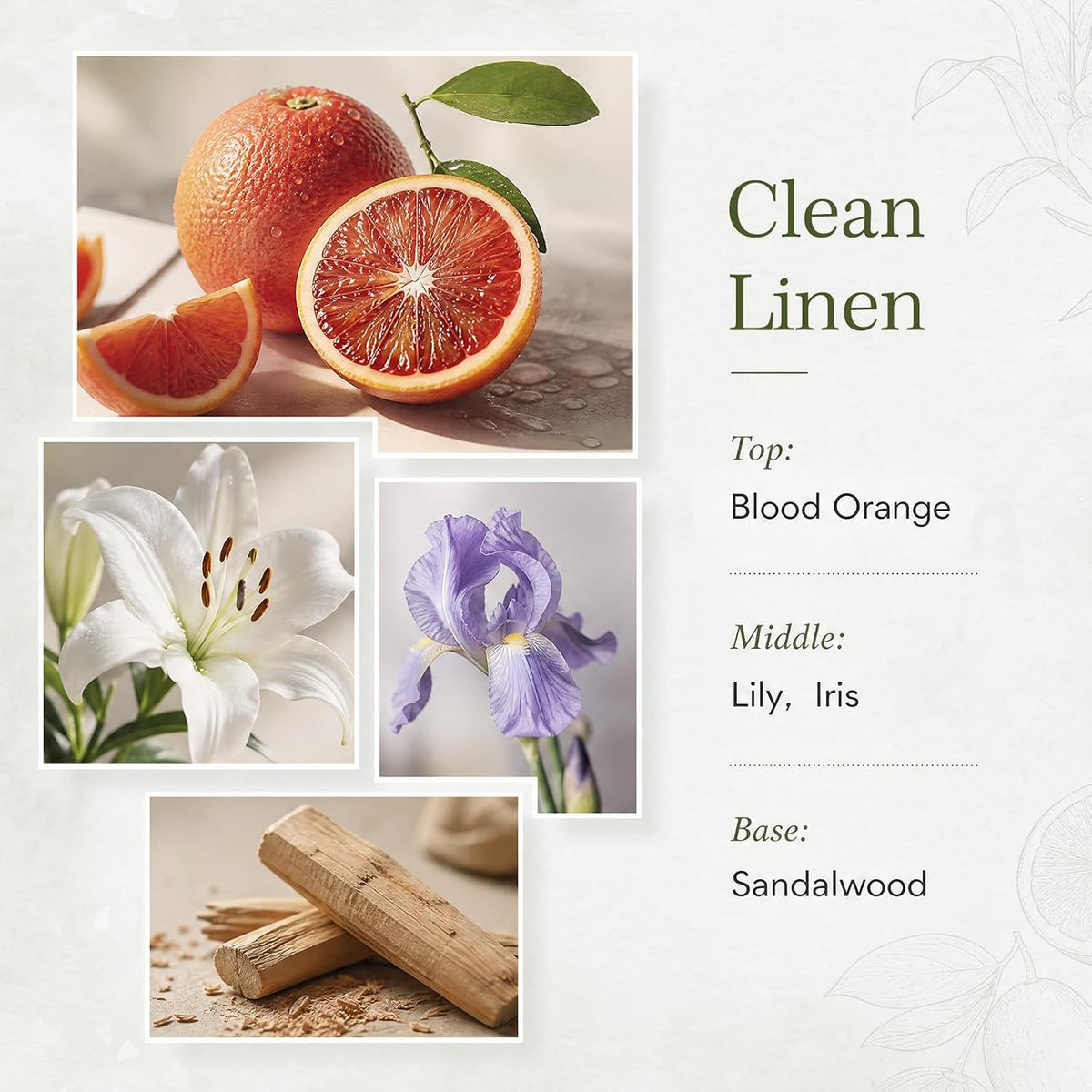 Reed Diffuser Set, Clean Linen, 6.7 Fl Oz, Home Fragrance