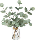 Coferset Artificial Eucalyptus Stems in Glass Vase with Faux Water, Green