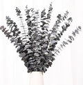 16 Pcs Dried Eucalyptus Stems, Preserved Black Plants for Shower Hanging