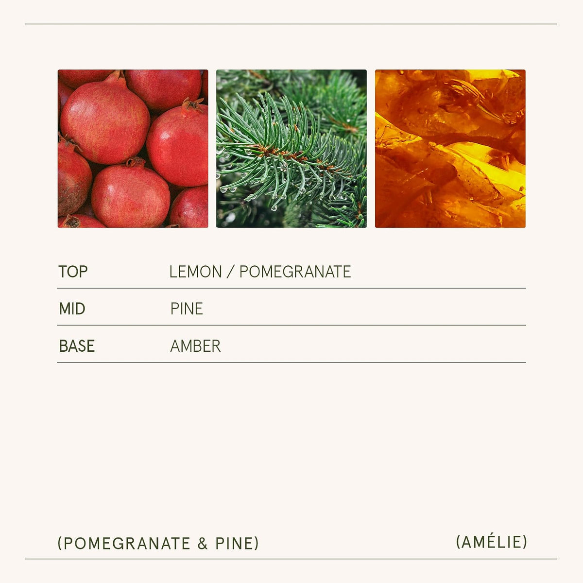 LA JOLIE MUSE Pomegranate Pine Scented Candles for Home, Natural Soy 7 oz
