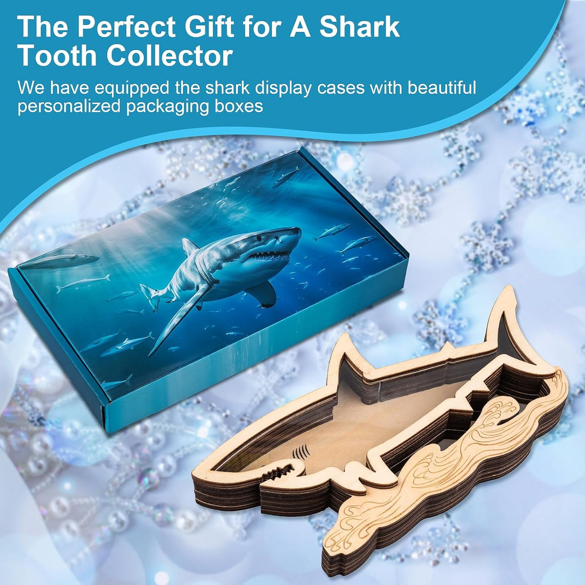 8.7 Inch Shark Tooth Holder, Shark Teeth Display Case, Shark Decor Gifts
