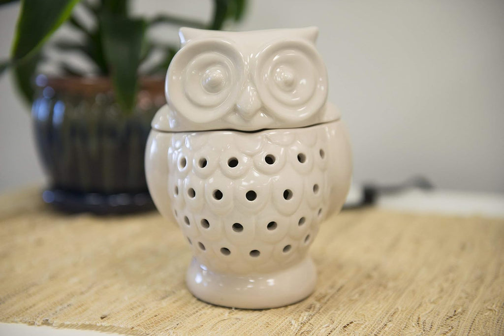 D'Eco Owl Electric Wax Melt & Candle Warmer with 4 Fragrance Cinnamon Cubes