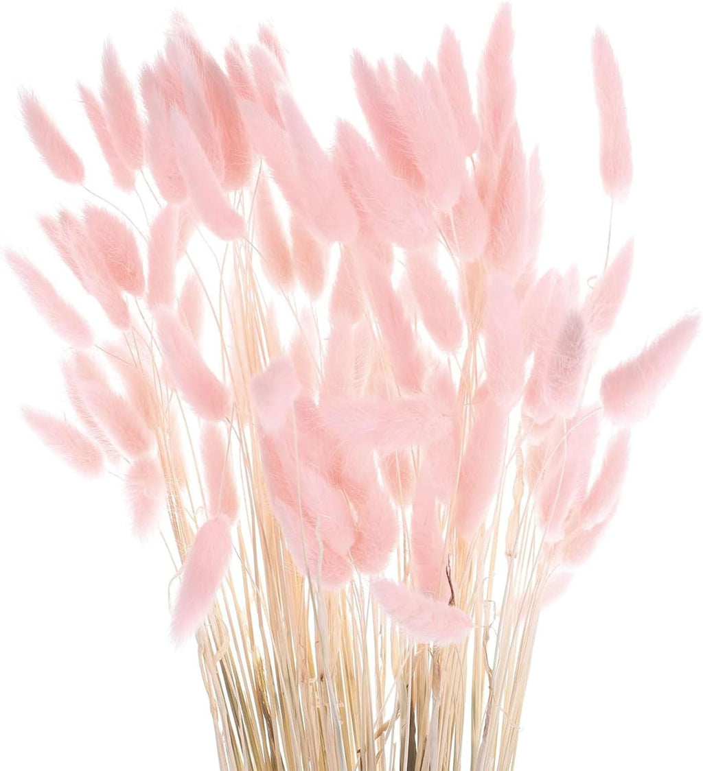Pink Bunny Tails Dried Grass 120 Pcs 17Inch Natural Lagurus Ovatus