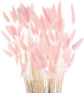 Pink Bunny Tails Dried Grass 120 Pcs 17Inch Natural Lagurus Ovatus