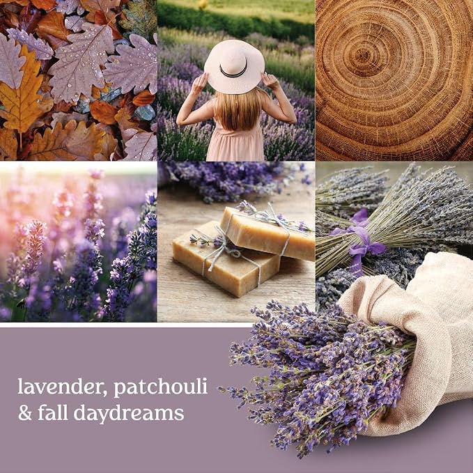 Yankee Candle Scented Wax Melts for Wax Warmers, Long Lasting Home Fragrance, Odor Eliminating Wax Cubes, Dried Lavender & Oak, 6 Count (Pack of 4)