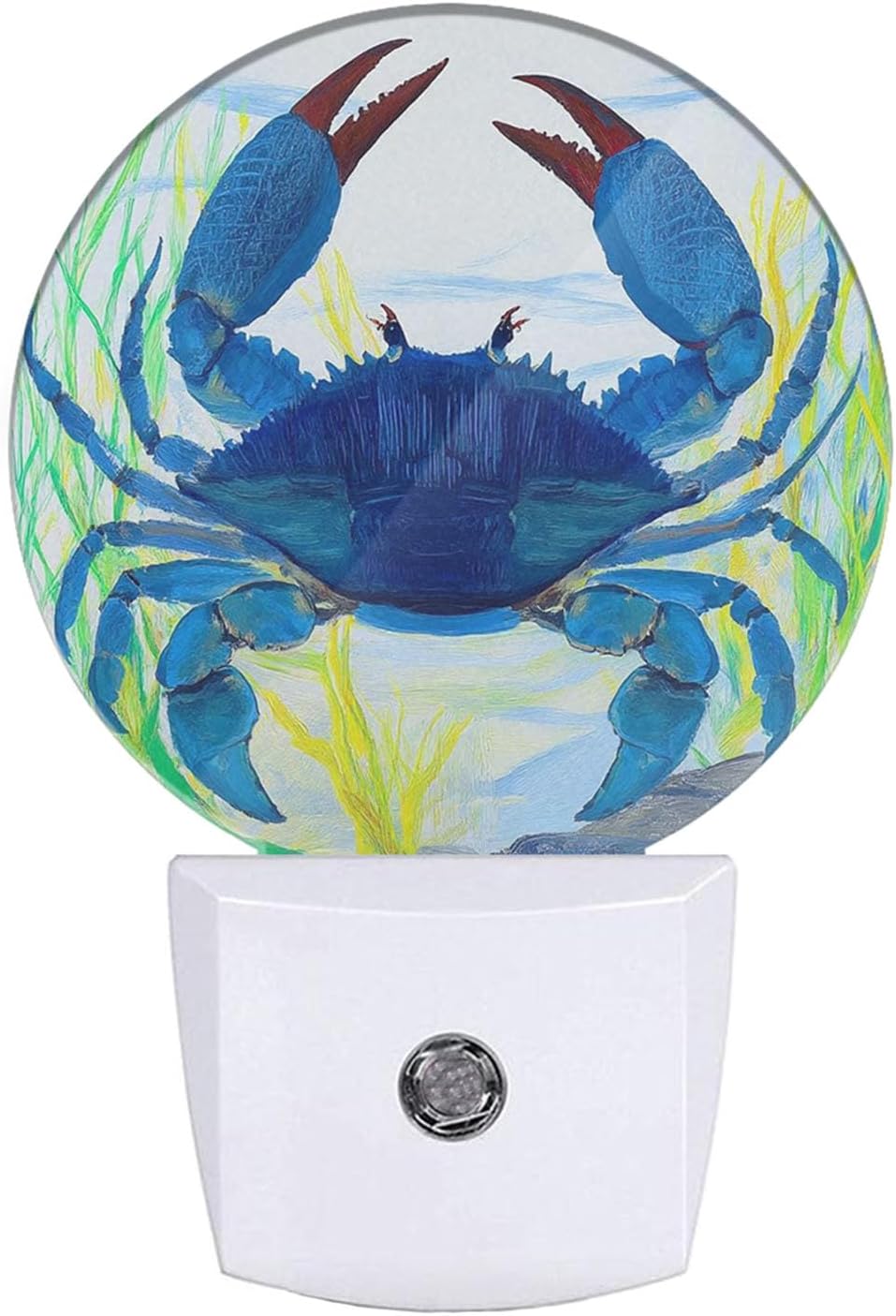Blue Crab Night Light Shellfish Sea Grass Night Lights Plug into Wall 0.5W LED Lighting Auto on/Off for Hallway Stairway Kitchen Home Decor