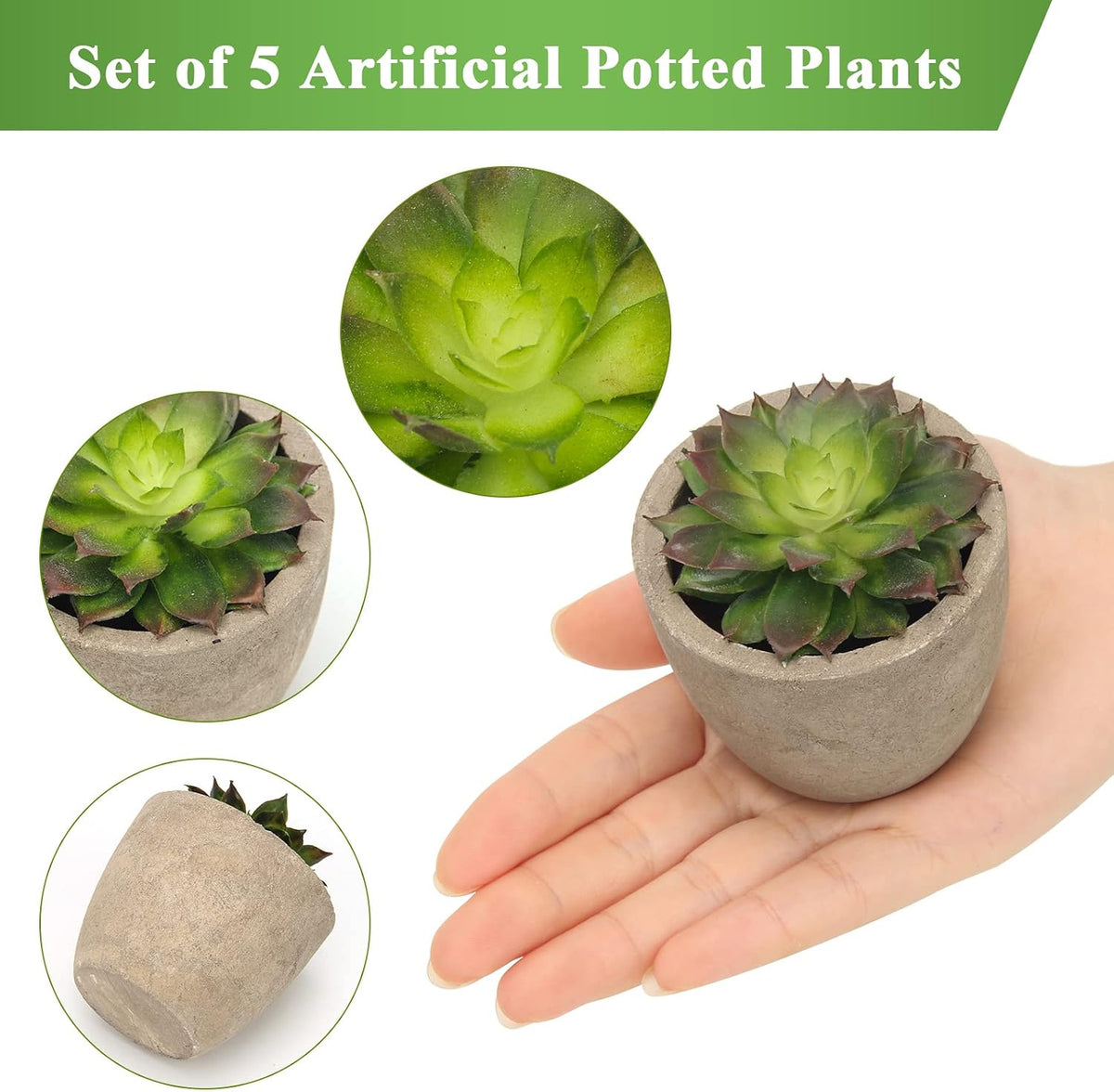 Coitak Artificial Succulent Plants Potted, Artificial Plants Indoor, 5 PCS