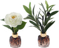 2Pcs Empty Reed Diffuser Glass Bottle Set with Artificial Plant Decor