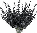 CLEANGOR Artificial Eucalyptus Stems (24, Black)